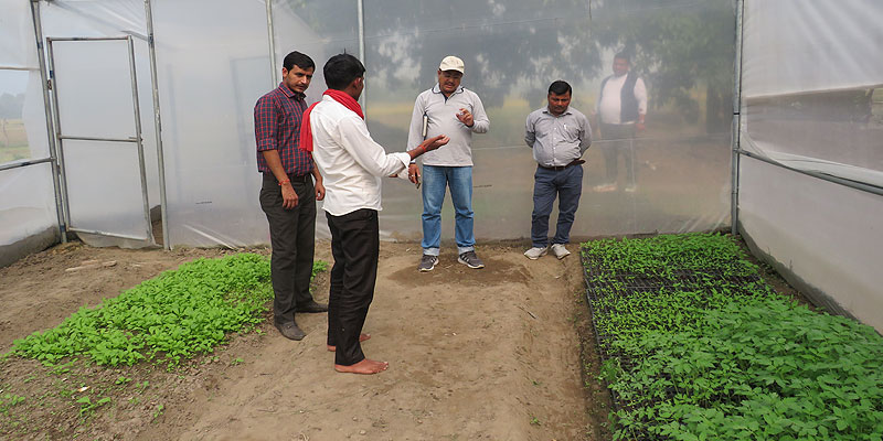 The Tata Trusts and GDS teams have supported Tilak Ram (seen above in white shirt) with technical know-how and financial assistance for setting up the nursery The Tata Trusts and GDS teams have supported Tilak Ram (seen above in white shirt) with technical know-how and financial assistance for setting up the nursery