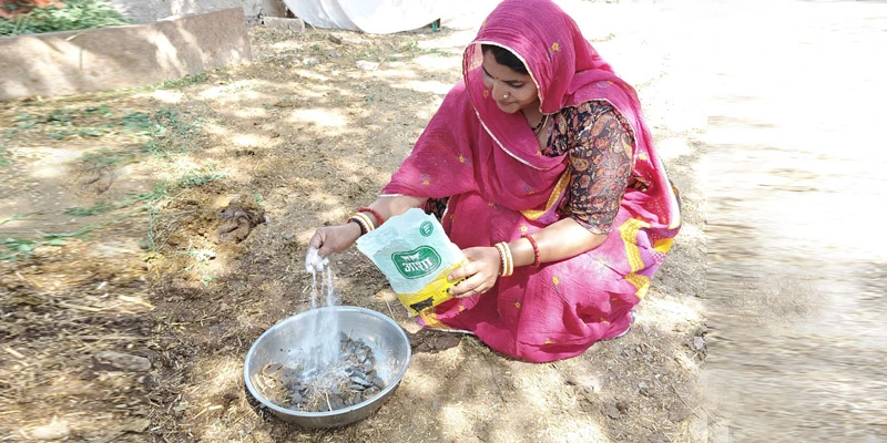 The Asha MPC in Rajyawas village in Rajasthan has educated marginal dairy farmers like Sarita Kunwar to improve their hygiene and care practices