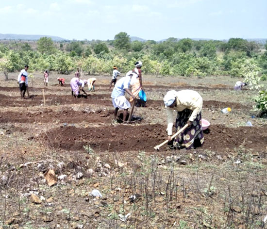 Leveraging the Mahatma Gandhi National Rural Employment Guarantee Scheme, villagers of Jarur restore the Commons around their village